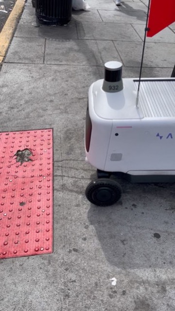 Sidewalk delivery robot with a flag